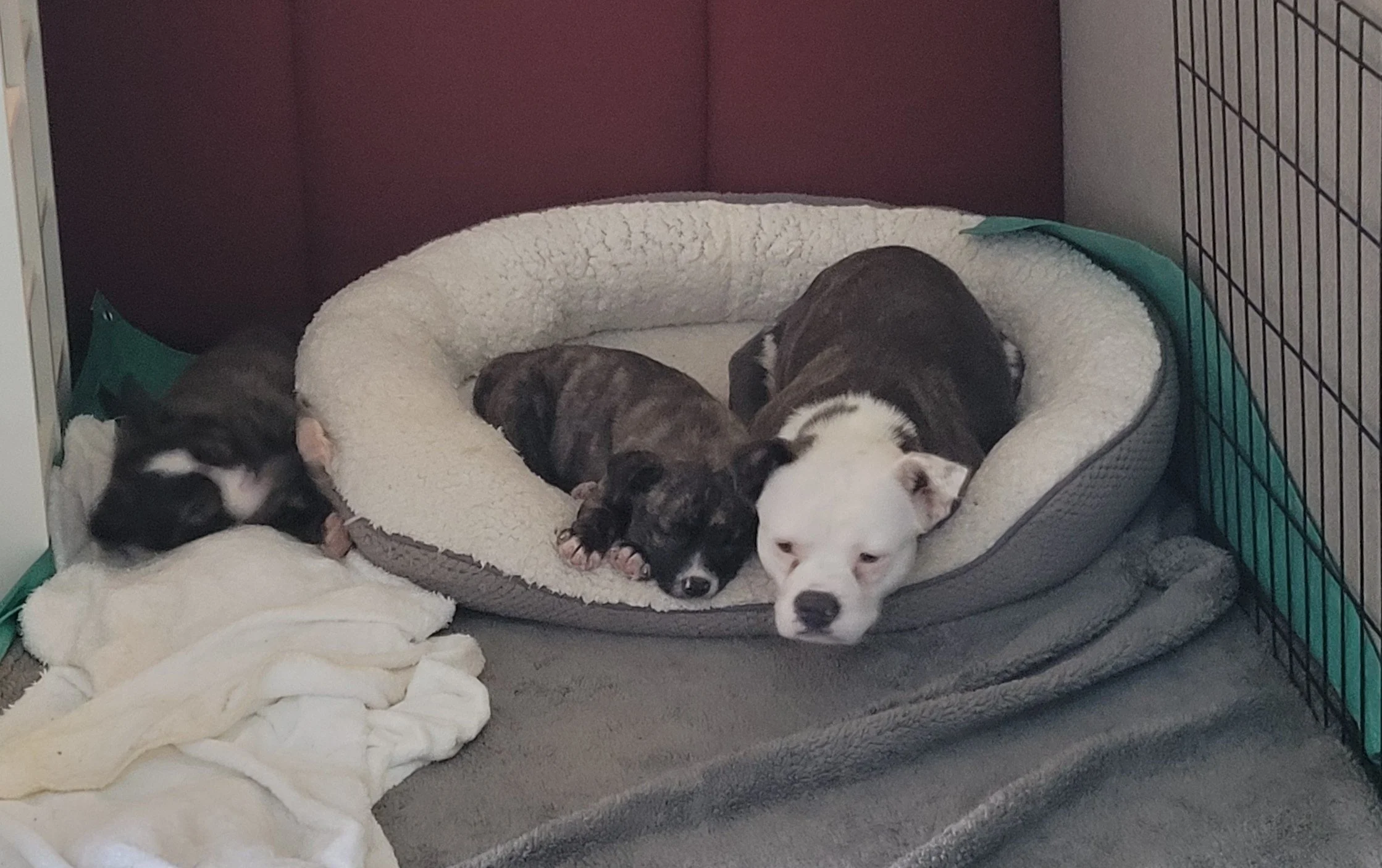 20251213_161230.jpg (Copy)