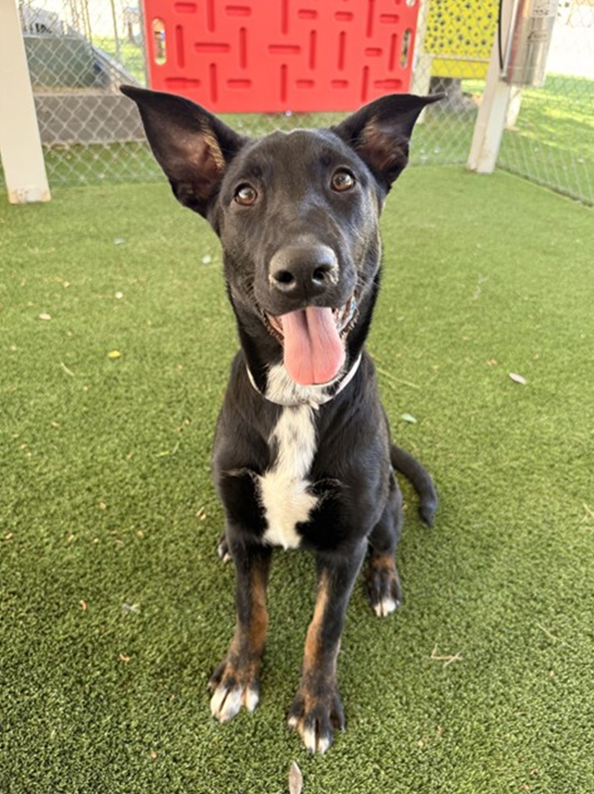 Screenshot 2026-04-16 131810.png