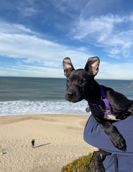 Screenshot 2026-01-17 170849.png