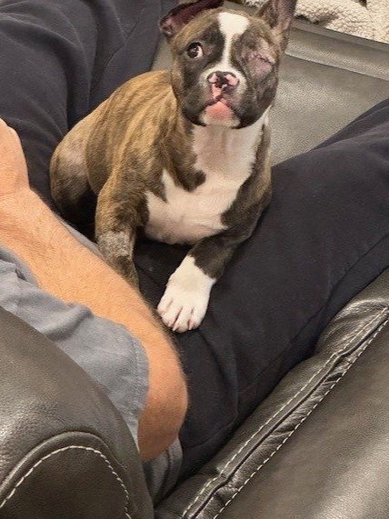 Bella+4.jpg