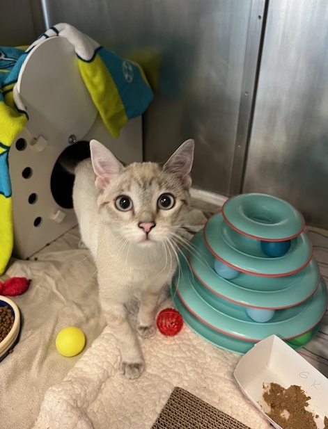 Screenshot 2026-01-12 133304.png