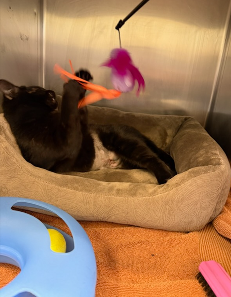 Screenshot 2026-01-12 144809.png