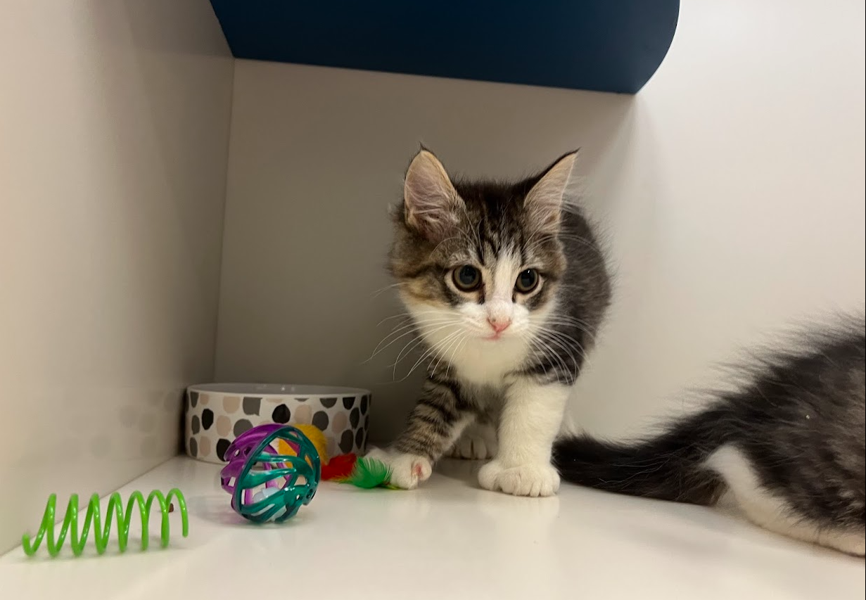 Screenshot 2026-01-09 151541.png