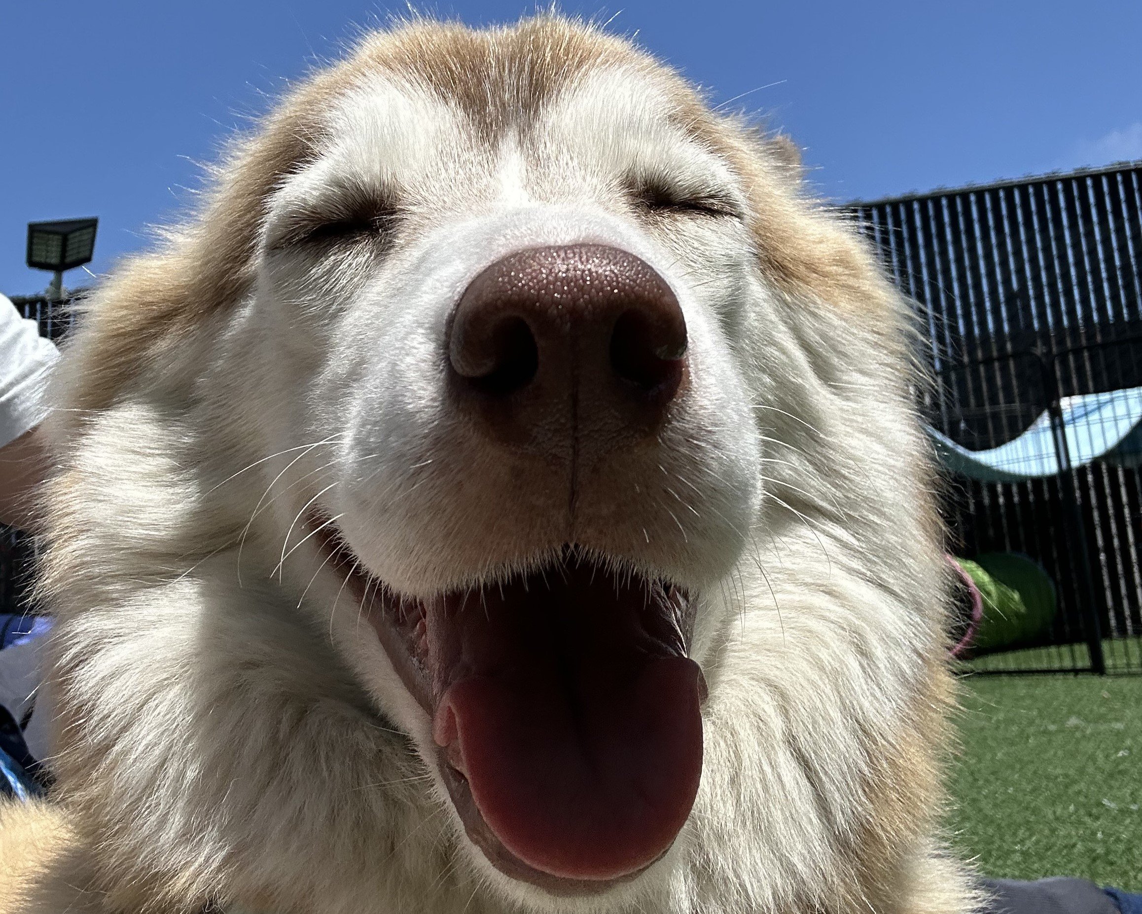 HOLLY3.jpeg