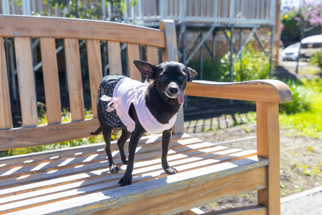 Screenshot 2026-03-20 141249.png