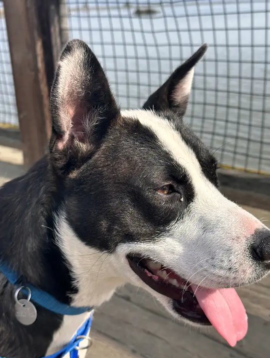 Screenshot 2026-02-16 114731.png