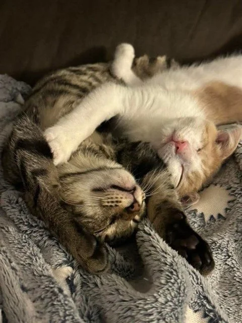 mike sully.jpg (Copy)