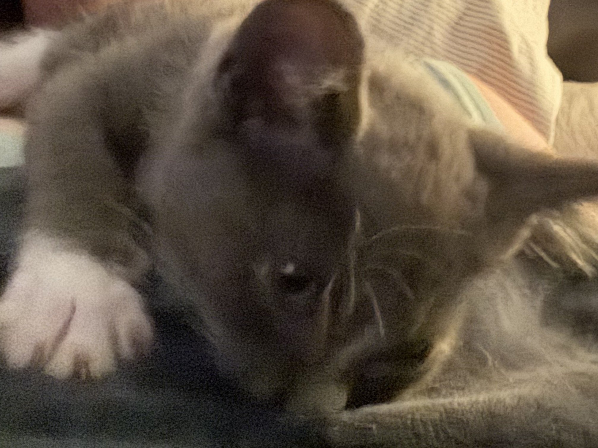 IMG_8514.jpeg