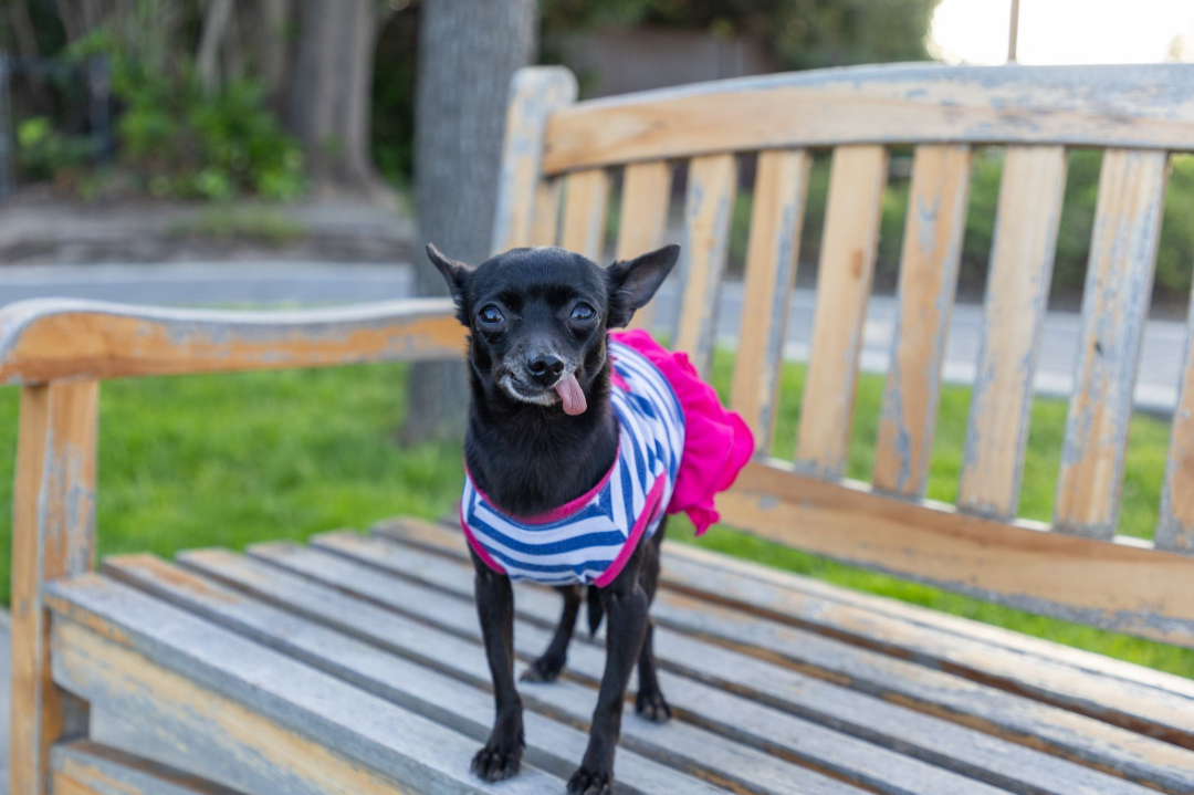 Screenshot 2026-03-20 141336.png