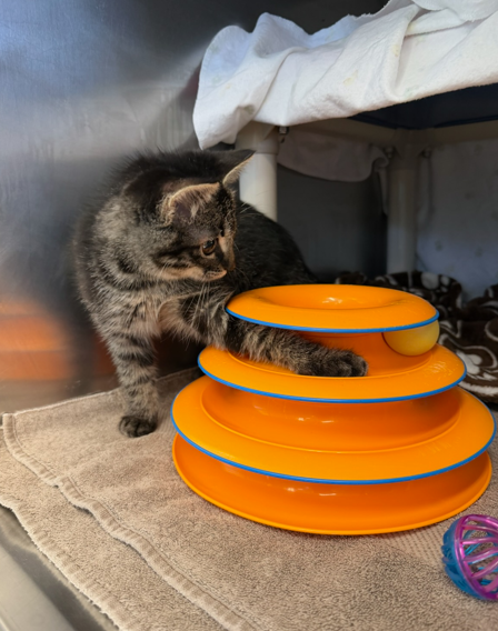 Screenshot 2026-01-12 144156.png