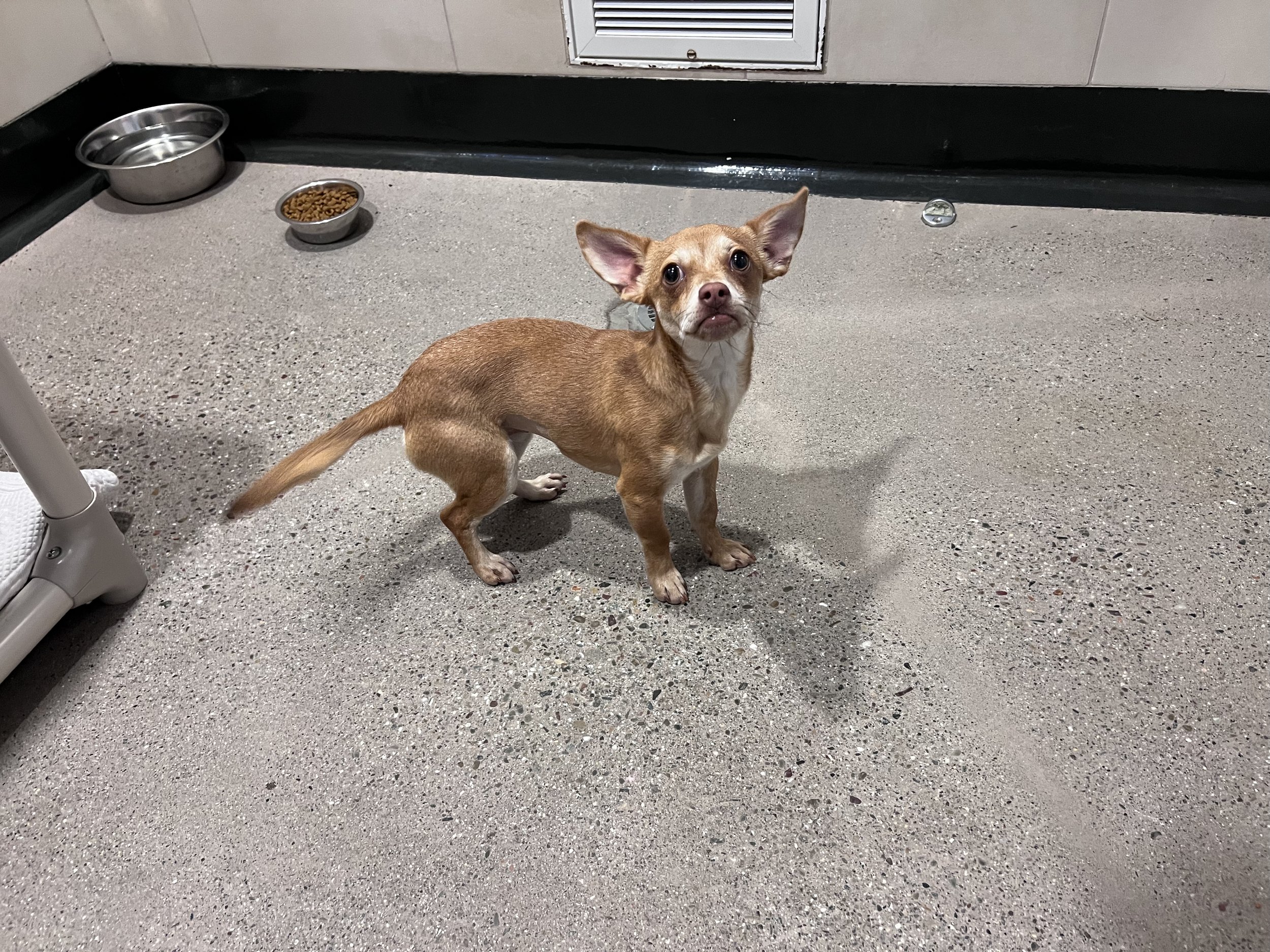 Image - 2025-12-27T152254.817.jfif