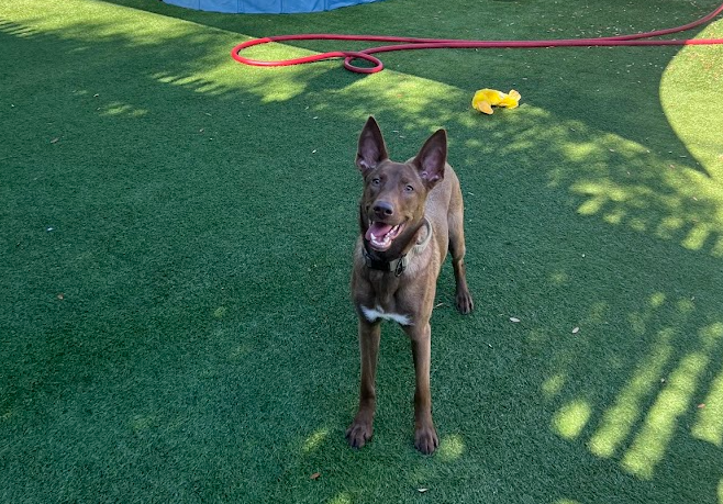 Screenshot 2026-03-20 123303.png