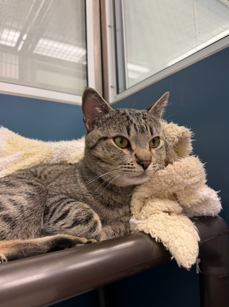 Screenshot 2026-04-13 145200.png