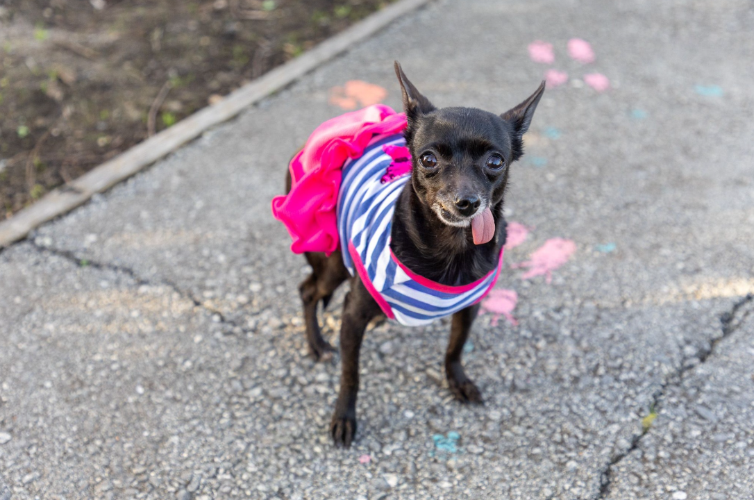 Screenshot 2026-03-20 141410.png