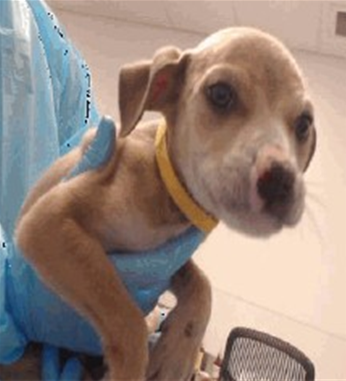 Screenshot 2026-03-06 113257.png