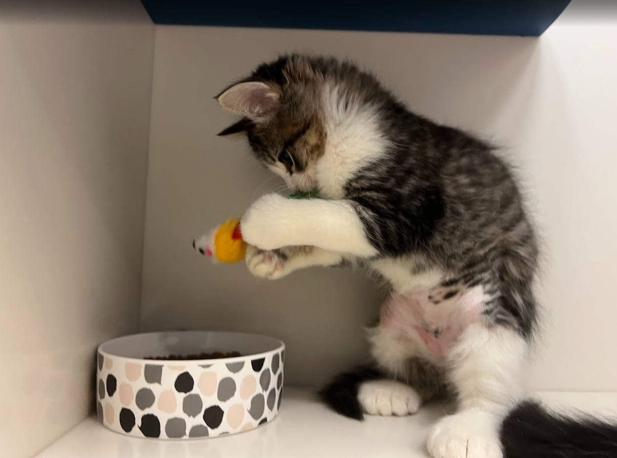 Screenshot 2026-01-09 151611.png