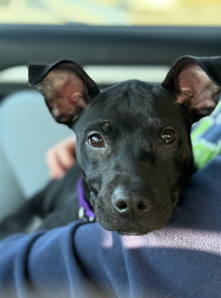 Screenshot 2026-01-17 170857.png