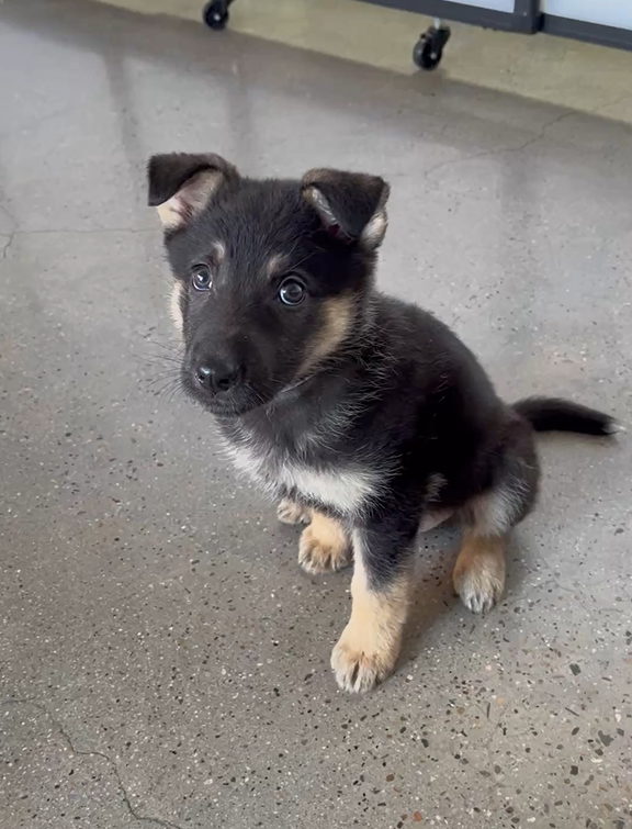 Screenshot 2025-12-26 124257.png