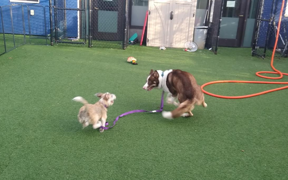 Screenshot 2026-01-12 145028.png