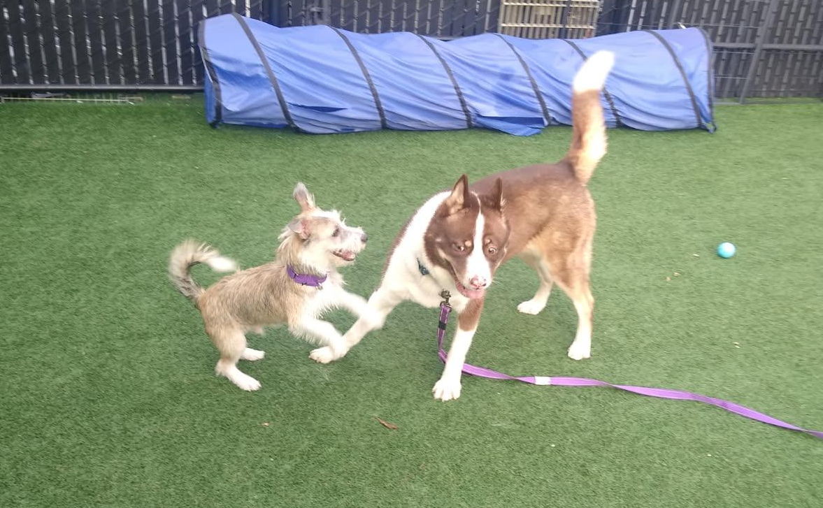 Screenshot 2026-01-12 145045.png