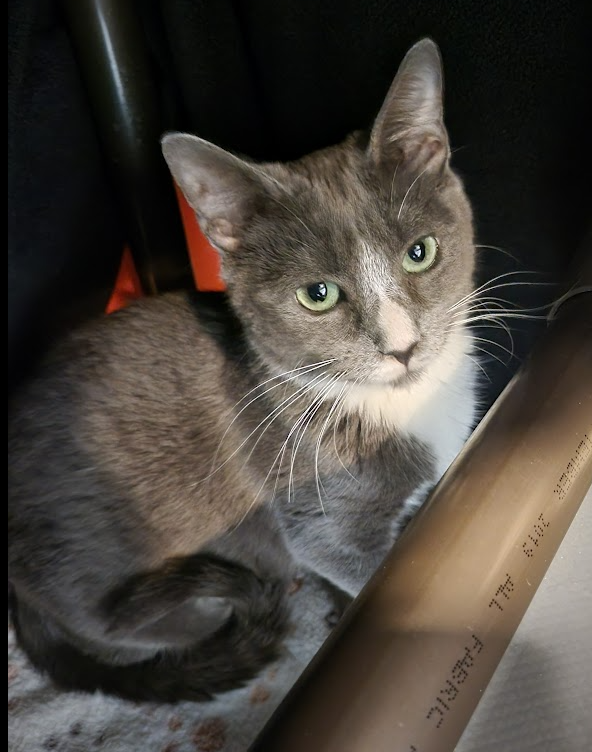 Screenshot 2026-01-08 114642.png