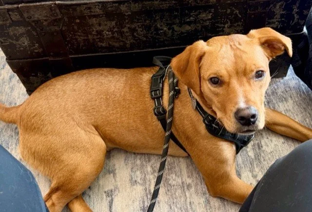 thumbnail_image0 (4).jpg