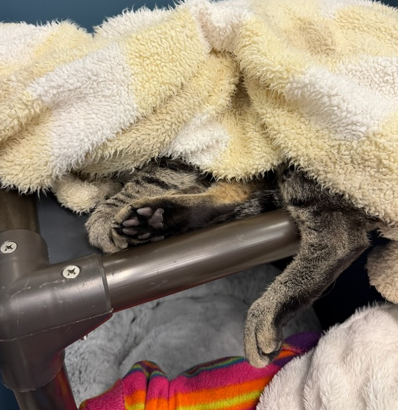 Screenshot 2026-04-13 145721.png