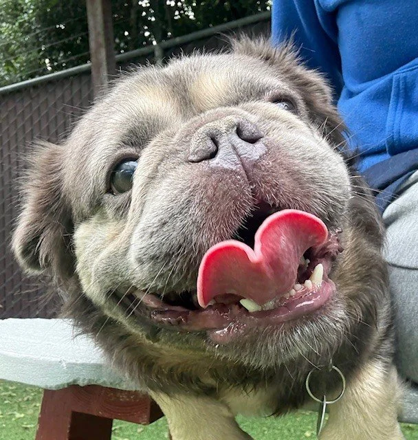 bubs.jpg