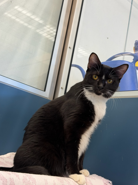 Screenshot 2026-03-02 180942.png