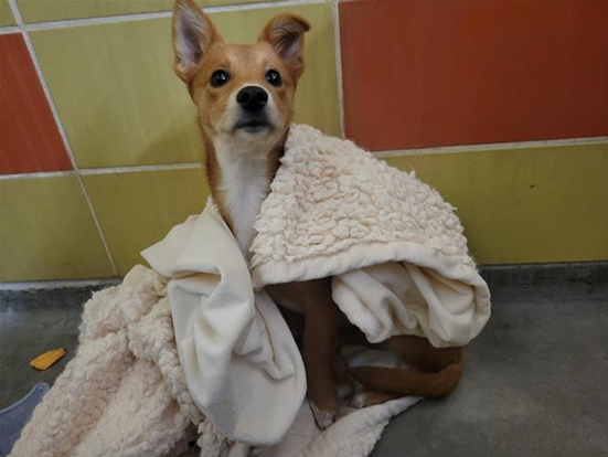 Screenshot 2026-02-02 101736.png