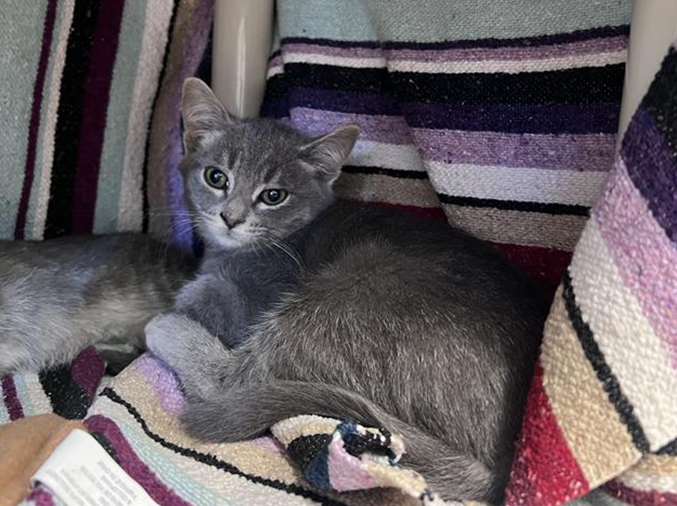 Screenshot 2026-01-12 125133.png