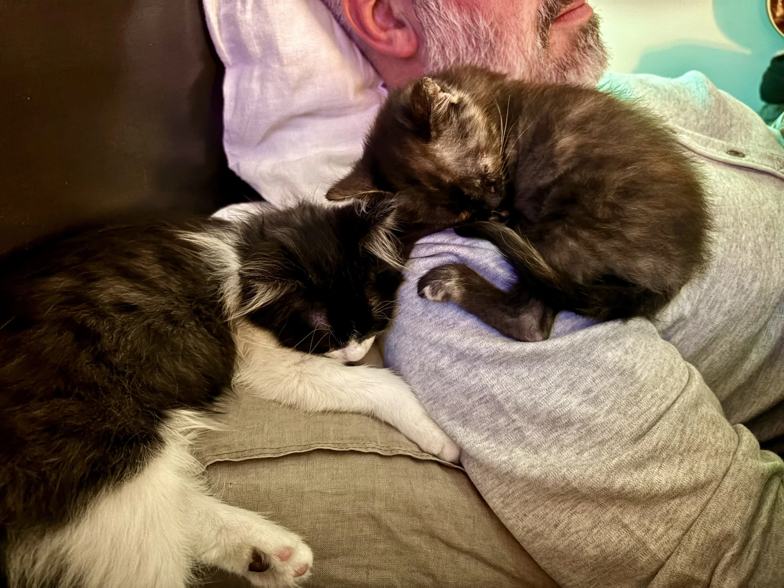 IMG_7929.jpeg (Copy)