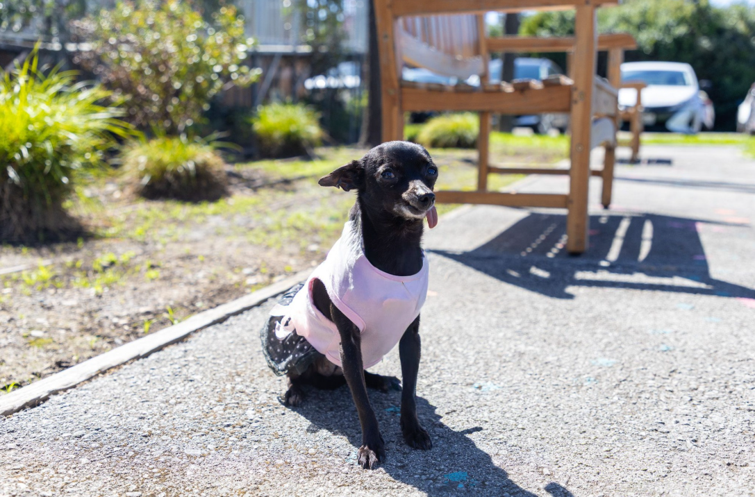 Screenshot 2026-03-20 141257.png