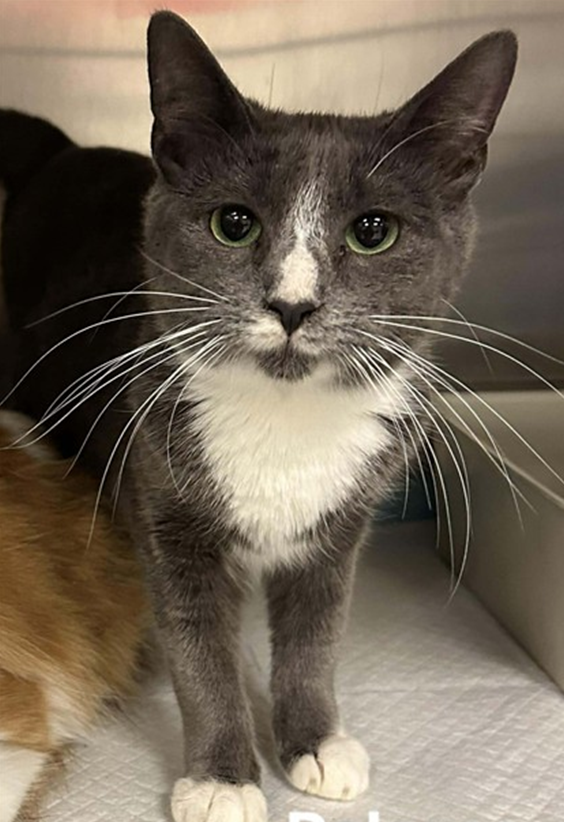 Screenshot 2026-01-08 113620.png