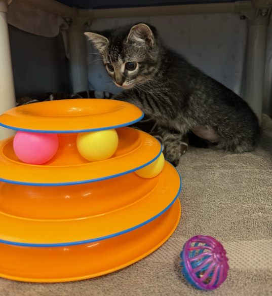 Screenshot 2026-01-12 144145.png