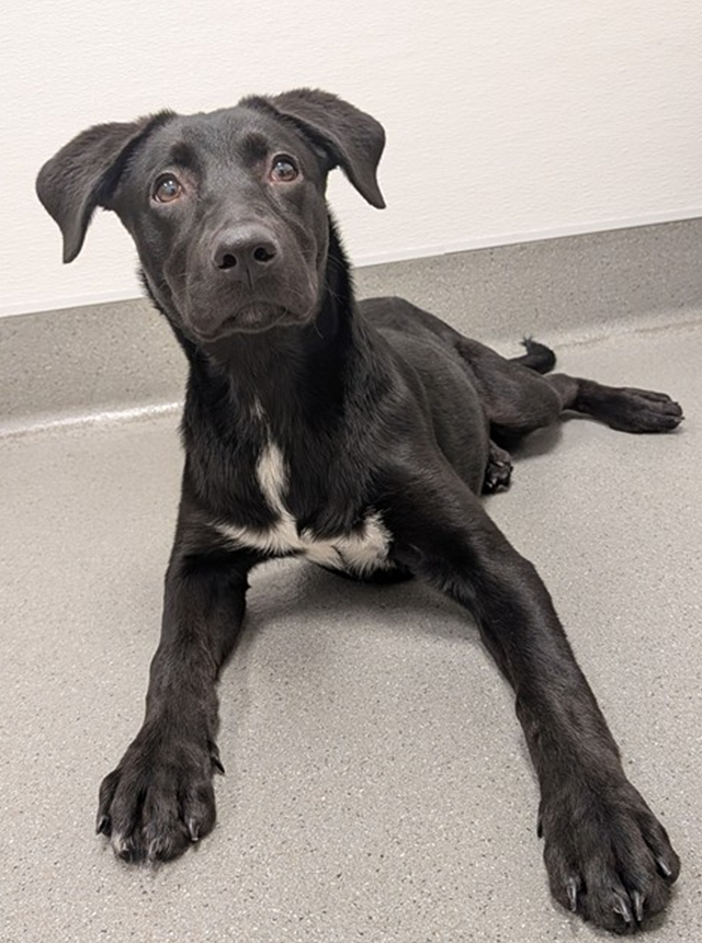 Screenshot 2026-04-17 111722.png