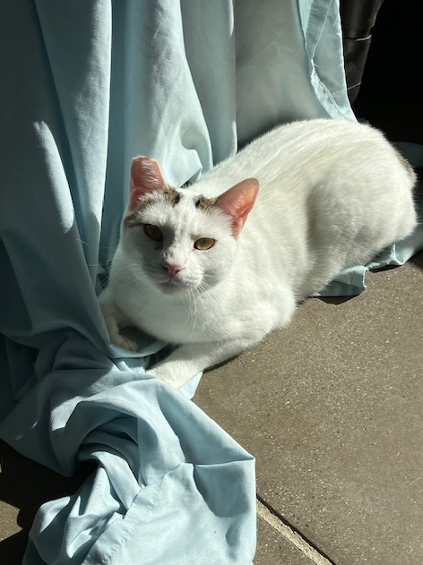 Screenshot 2026-03-05 134614.png