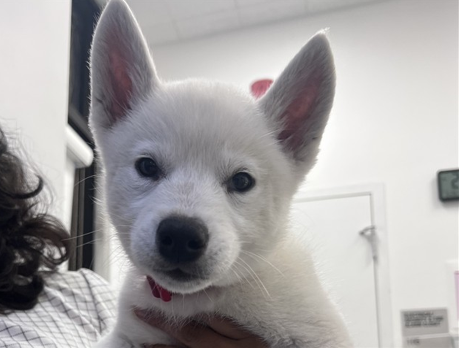 Screenshot 2026-04-06 132413.png