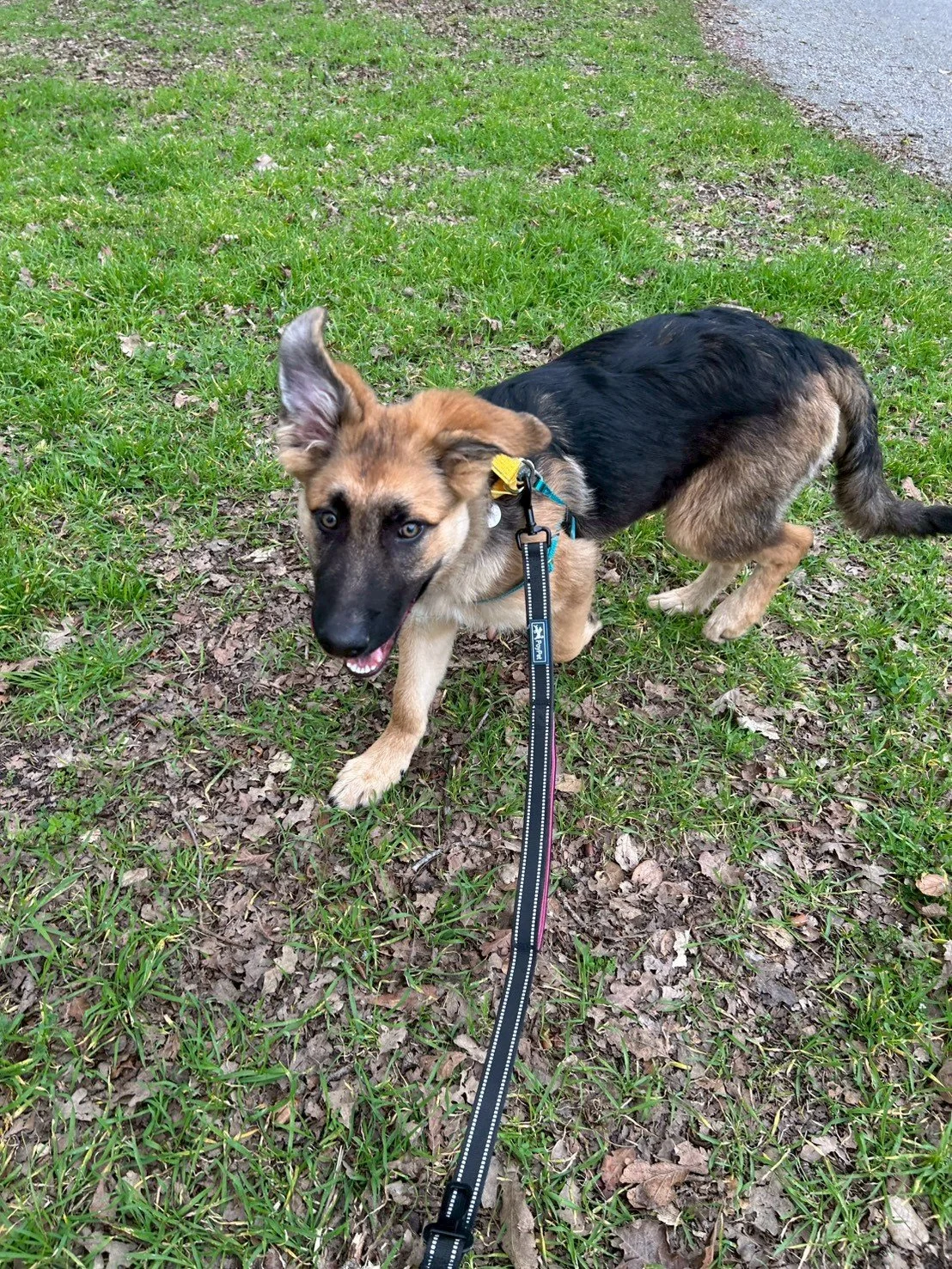 LINE_ALBUM_2026214 Tumble_260215_1.jpg