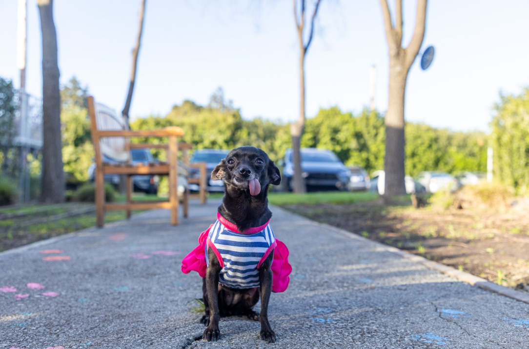 Screenshot 2026-03-20 141346.png