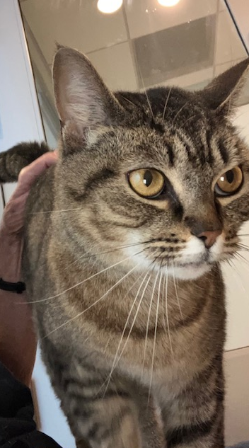 Screenshot 2026-03-05 134600.png