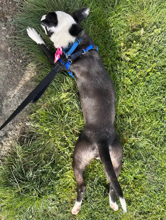 Screenshot 2026-02-16 114716.png