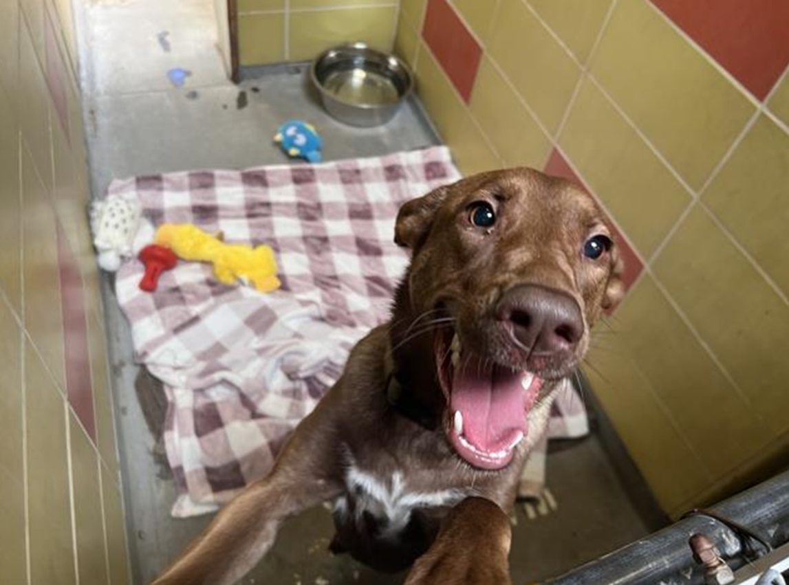 Screenshot 2026-03-20 103024.png