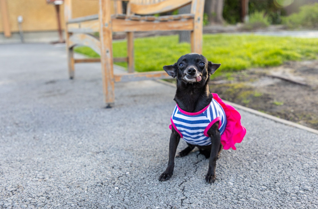 Screenshot 2026-03-20 141307.png