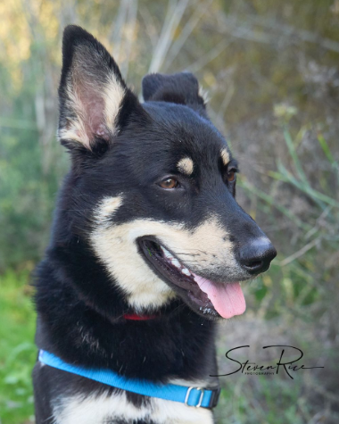 Screenshot 2025-12-08 142736.png