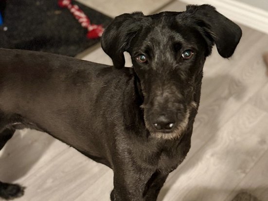 Screenshot 2026-04-24 153147.png