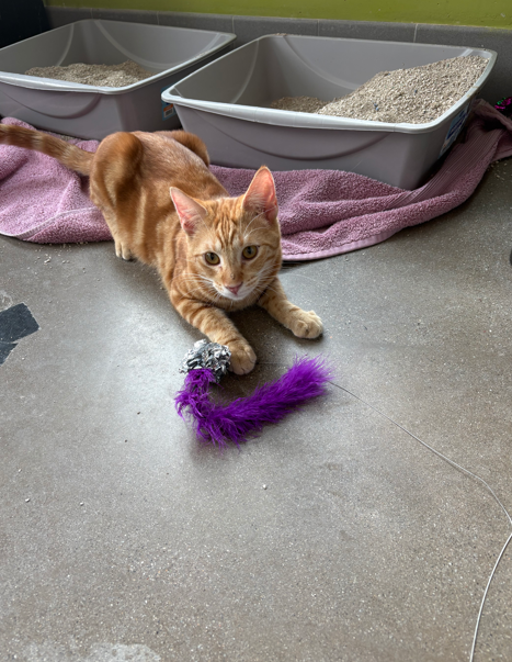 Screenshot 2026-03-02 164005.png