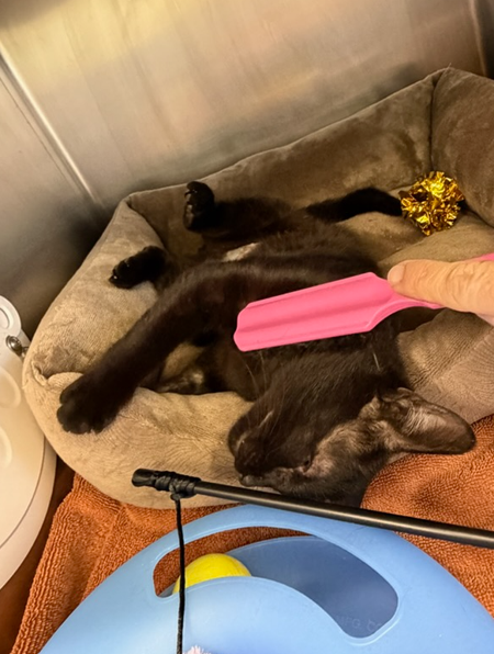 Screenshot 2026-01-12 144833.png