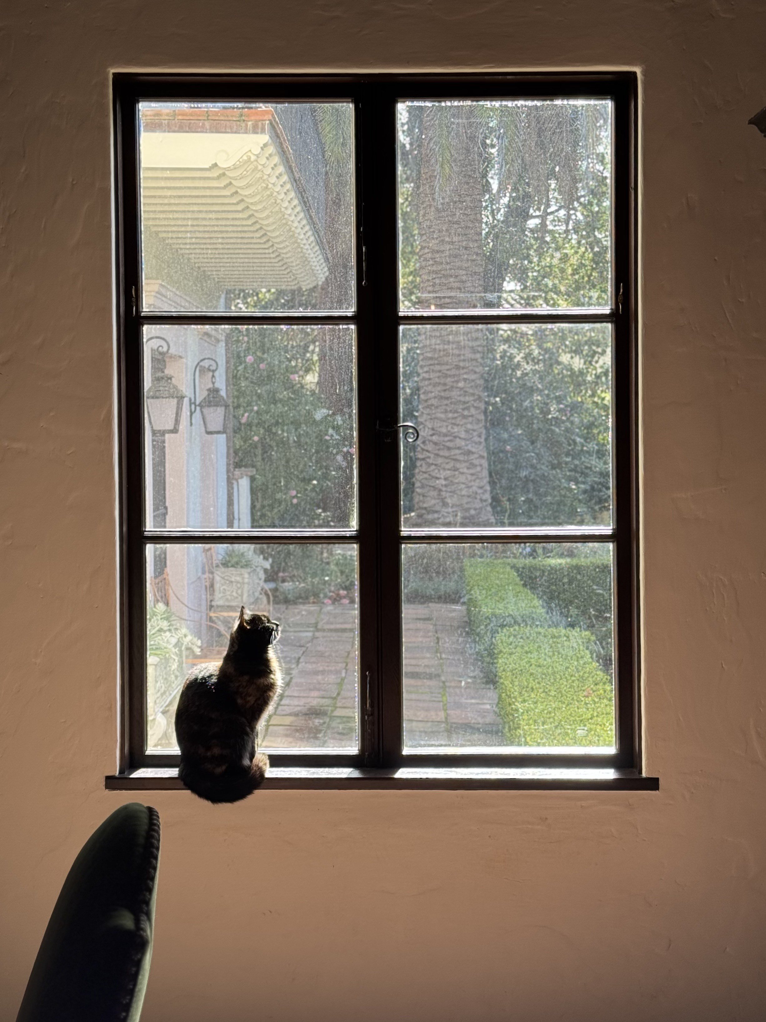 IMG_3209.jpeg
