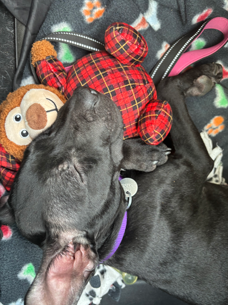 Screenshot 2026-01-17 170719.png